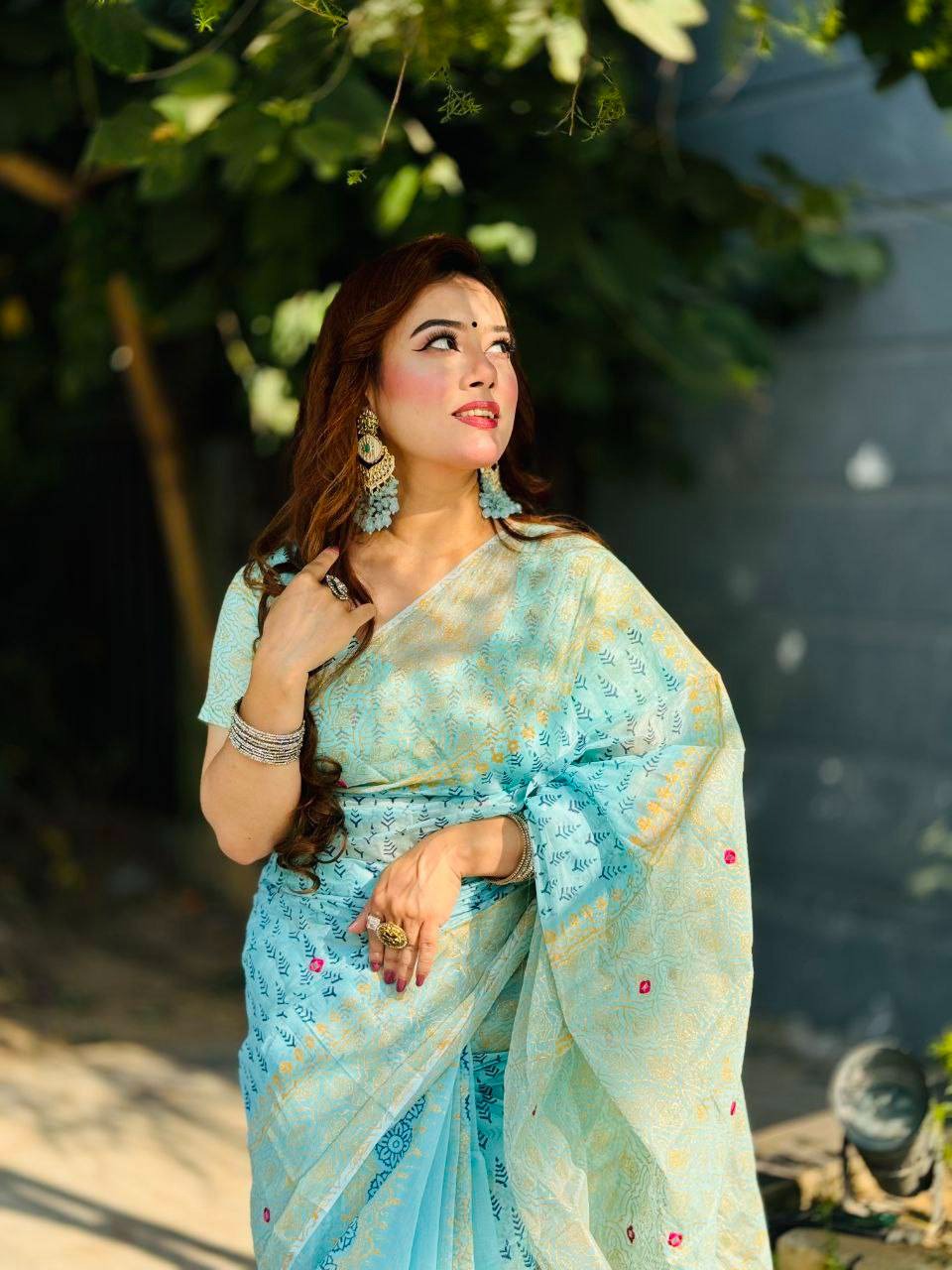 Semi Moslin Sharee ছবি 12
