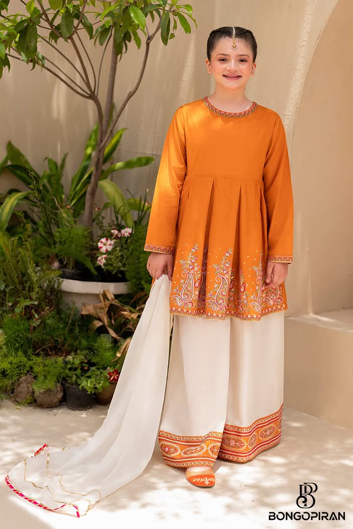 Diamond Georgette Three Piece ছবি 3