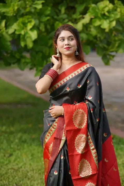 Soft silk katan sharee