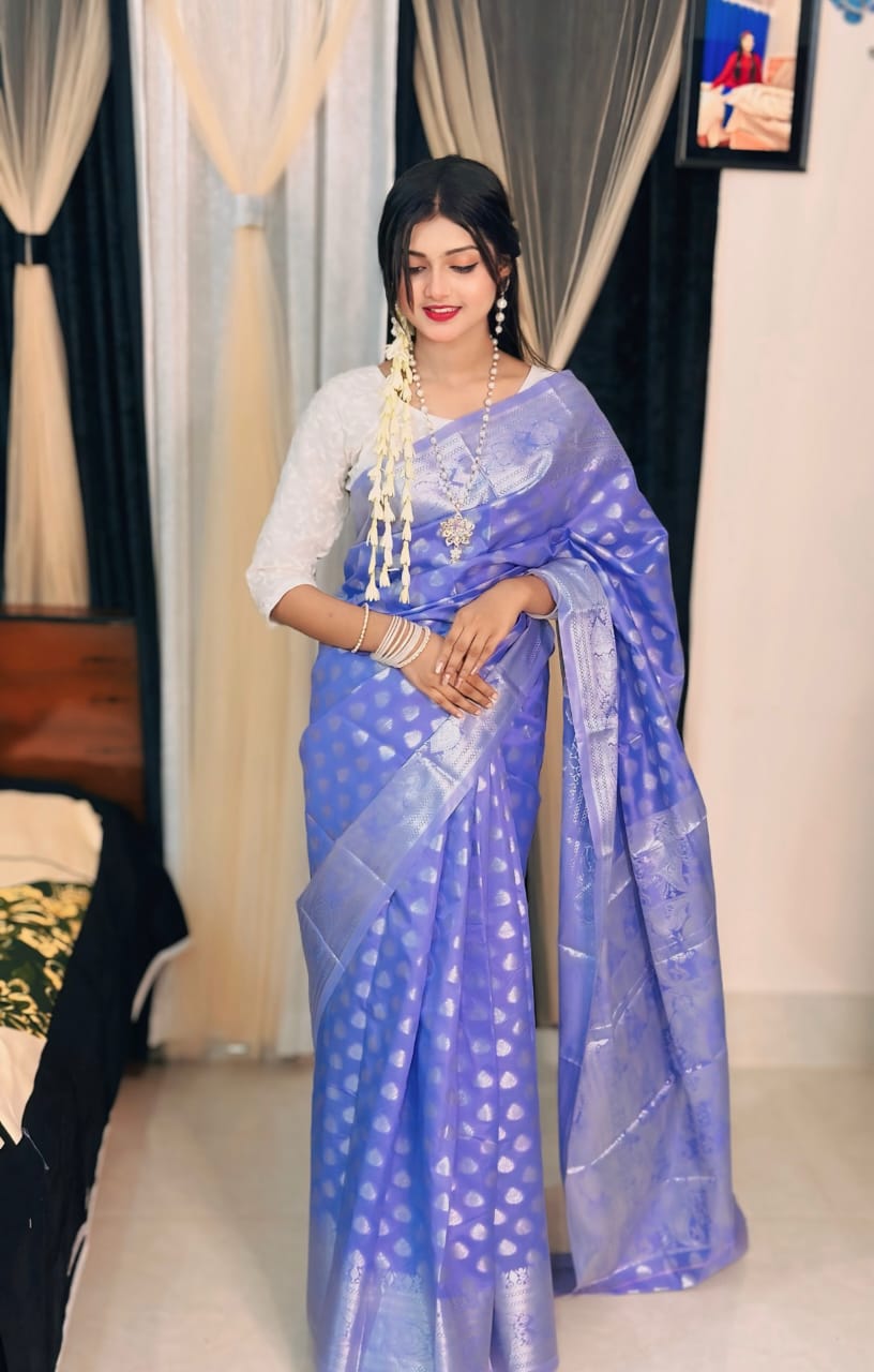 Soft silk katan sharee ছবি 5