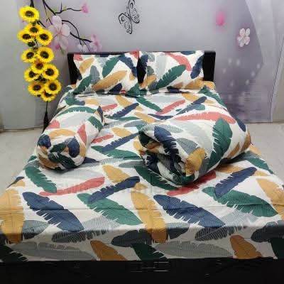 5 Pieces Comforter Set ছবি 2